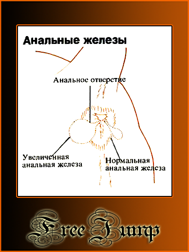 http://free-jump.ucoz.ru/_pu/0/51271266.png
